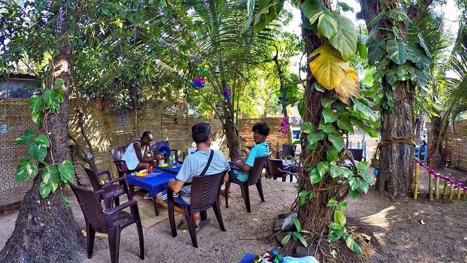 Guest house The Funky Monkey 3*